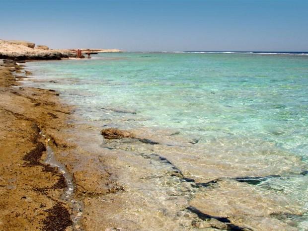 World___Egypt_Rocky_shore_at_the_resort_of_El_Quseir__Egypt_066443_