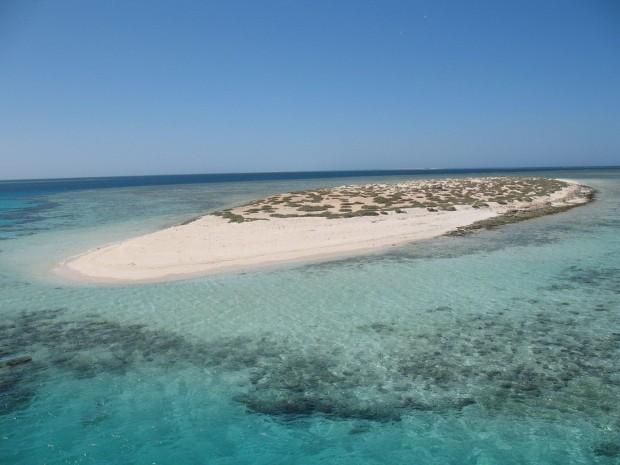 World___Egypt_Sandy_Island_off_the_coast_in_the_resort_of_Marsa_Alam__Egypt_066352_