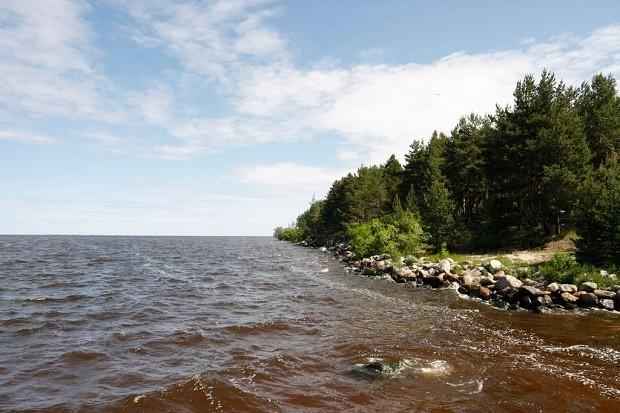 Где находится Рыбинское море: информация и описание