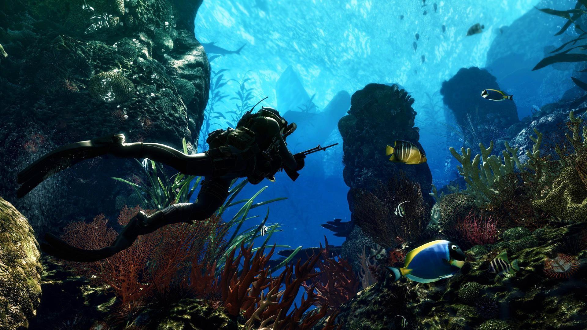 Подводная охота – что нужно для подводной охоты?